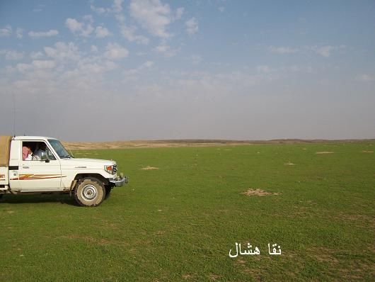mk2085_shas4.jpg