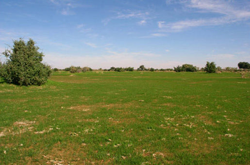 mk2692_img_0038.jpg