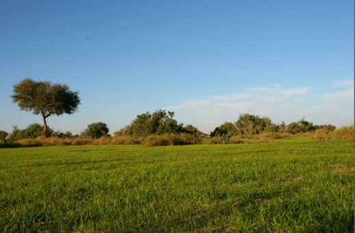 mk2692_img_0138.jpg
