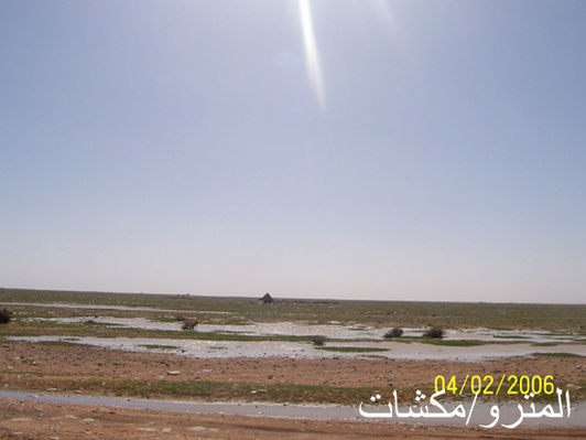 mk3016_rain-1.jpg