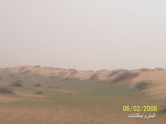 mk3016_sand4.jpg