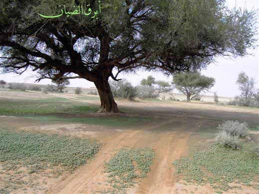 mk3124_pict103.jpg