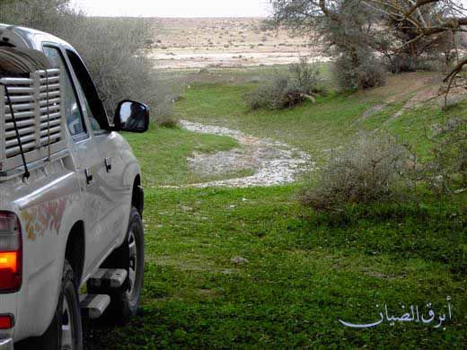 mk3124_pict104.jpg