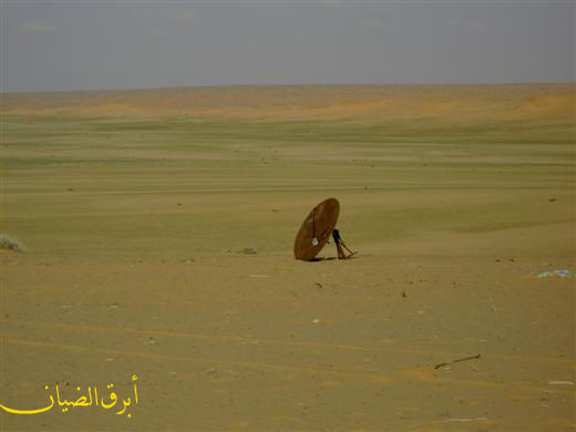 mk3124_pict105.jpg