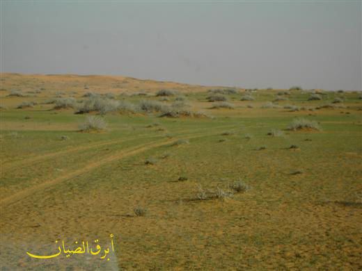 mk3124_pict106.jpg
