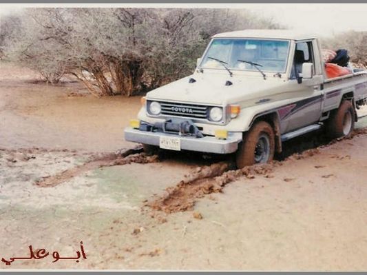 mk485_tn_copy0shas-2.jpg
