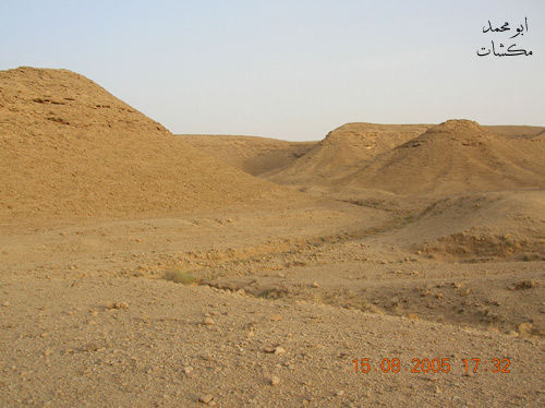 mk7278_s11.jpg