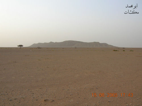 mk7278_s12.jpg