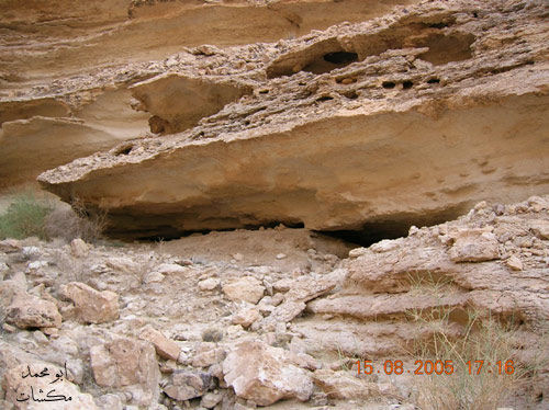 mk7278_s14.jpg