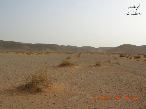 mk7278_s2365.jpg