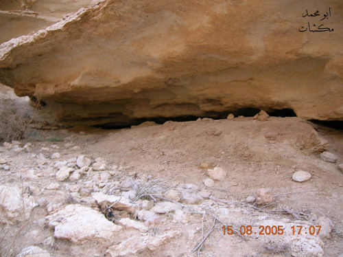 mk7278_s454545.jpg