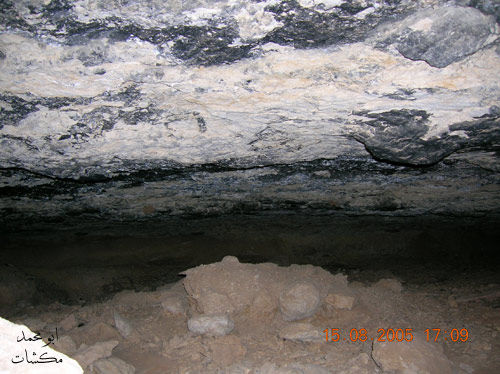 mk7278_s565656.jpg