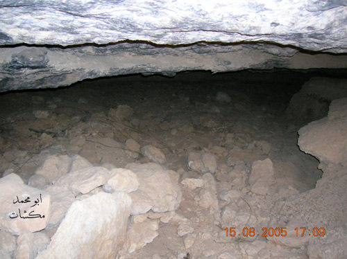 mk7278_s656565.jpg