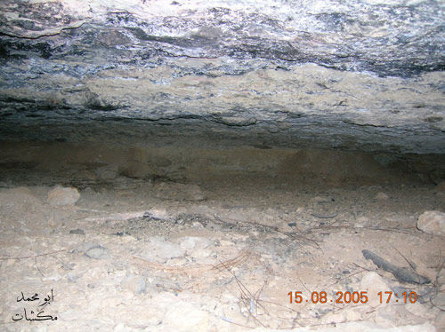 mk7278_s757575.jpg