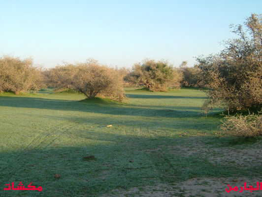mk8008_188.jpg