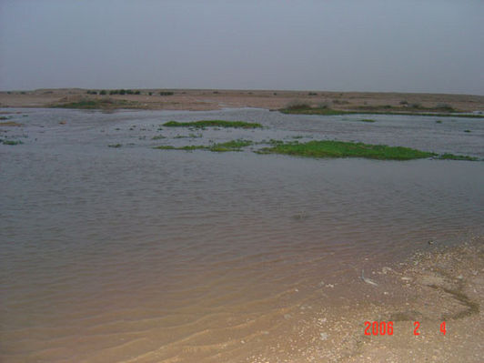 mk9517_540.jpg
