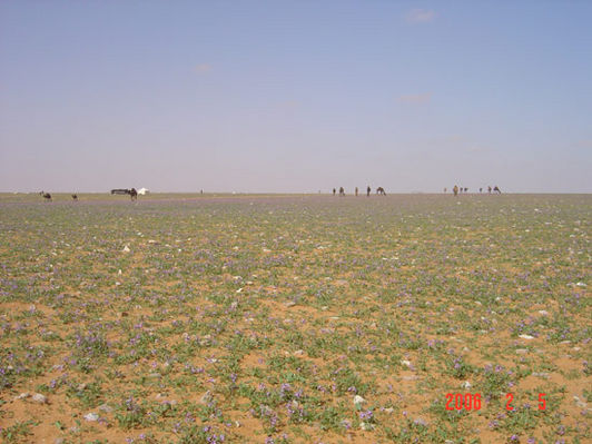 mk9517_551.jpg
