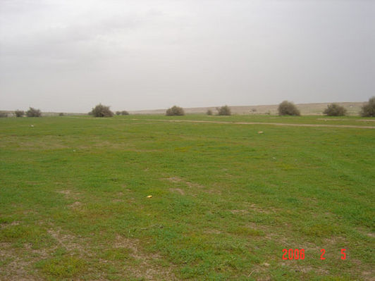 mk9517_562.jpg