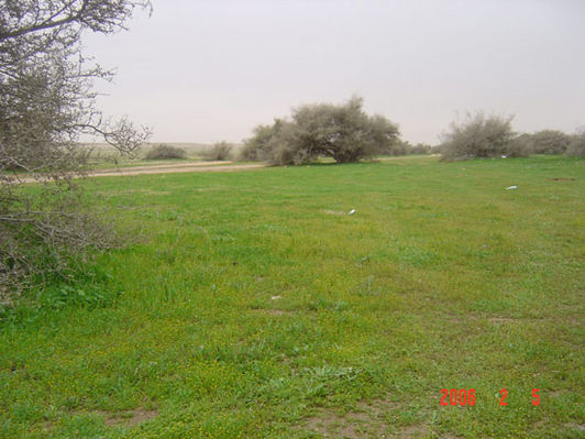 mk9517_564.jpg