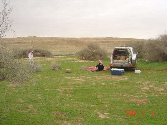 mk9517_567.jpg