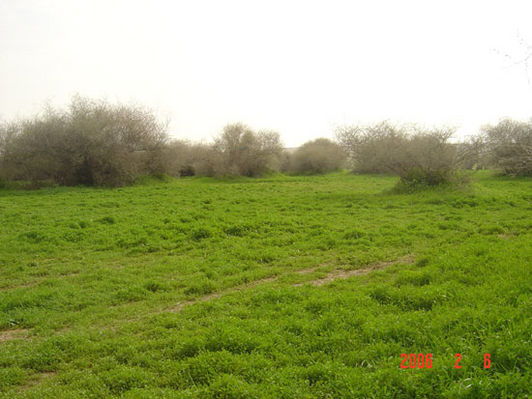 mk9517_570.jpg