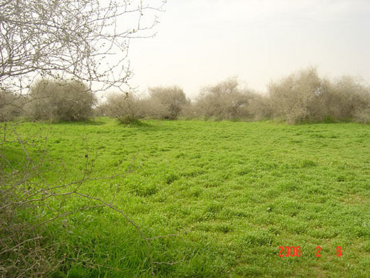 mk9517_572.jpg