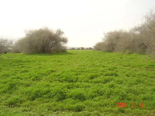 mk9517_573.jpg