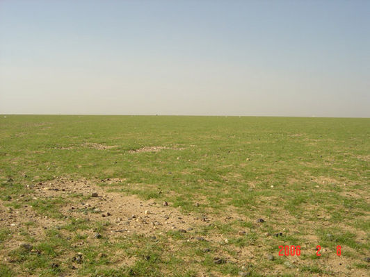 mk9517_596.jpg