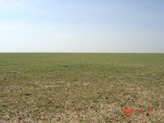 mk9517_614.jpg