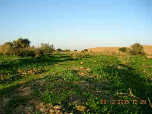 mk9999_image0002.jpg