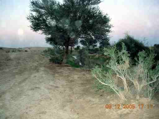 mk9999_image0005.jpg