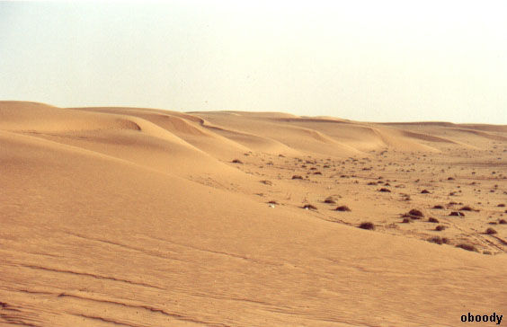 mount02.jpg