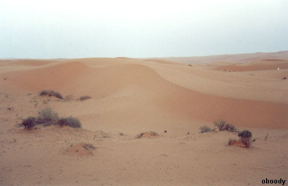 mount04.jpg