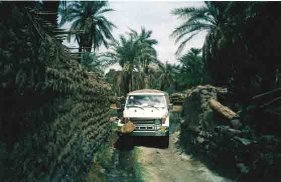 rbe3=a10.jpg