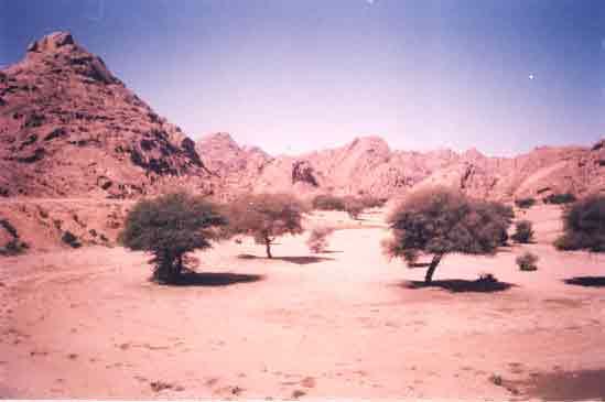 rbe3=a19.jpg
