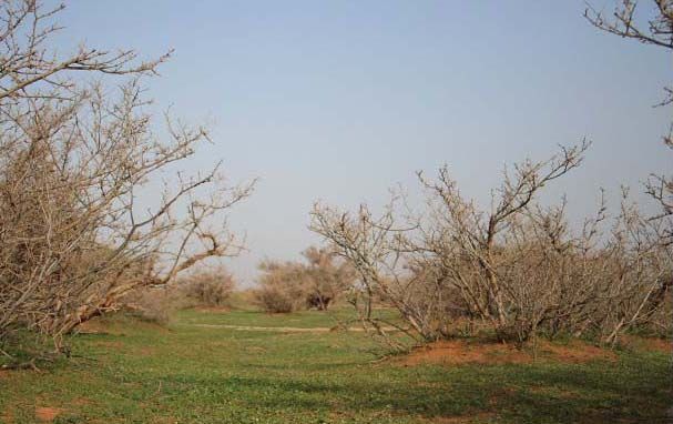 s_s_26-27_03.jpg