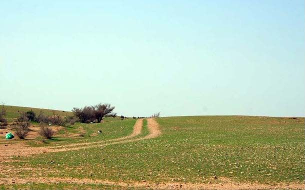 s_s_26-27_09.jpg