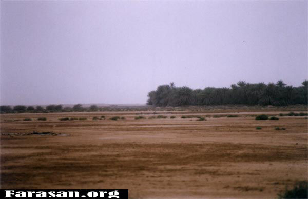 sag2.jpg