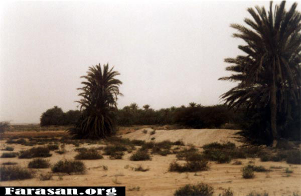 sag3.jpg