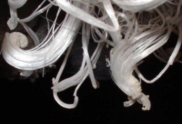 swirl.jpg