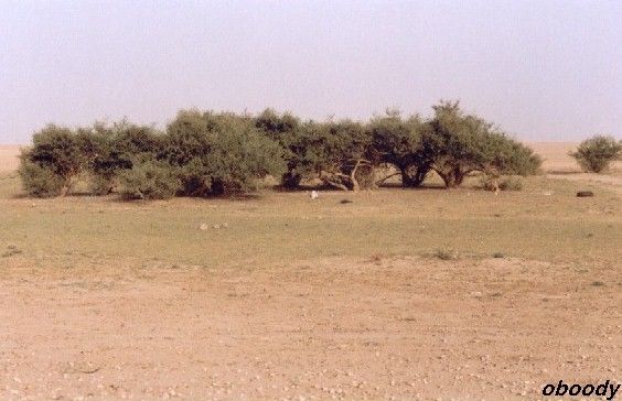 valey01.jpg
