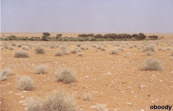 valey10.jpg