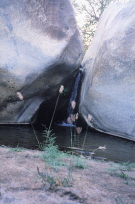 water2.jpg