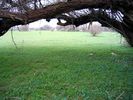 117_906.jpg