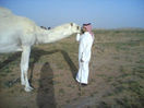 5c03f62.jpg