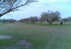 7ca475076f.jpg