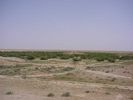 Dsc0001666.jpg
