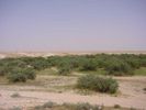 Dsc00023.jpg