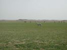 Dscn0327.jpg