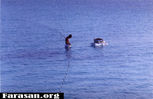 FISHING1.jpg